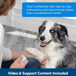 Petsafe Koiran Aktivointilelut Ja -Pelit*® Teach & Treat Reward Trainer