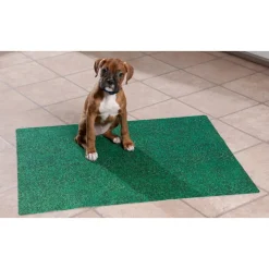 Drymate Siivous Ja Puhdistus|Pennun Pissa-Alustat*Pissa-alusta Potty Pad Green