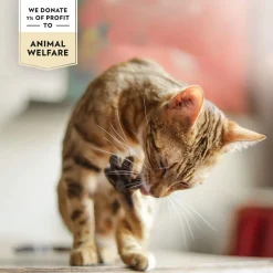 PrimaCat Kissan Märkäruoka|Kissan Keitot*Kanaa liemessä