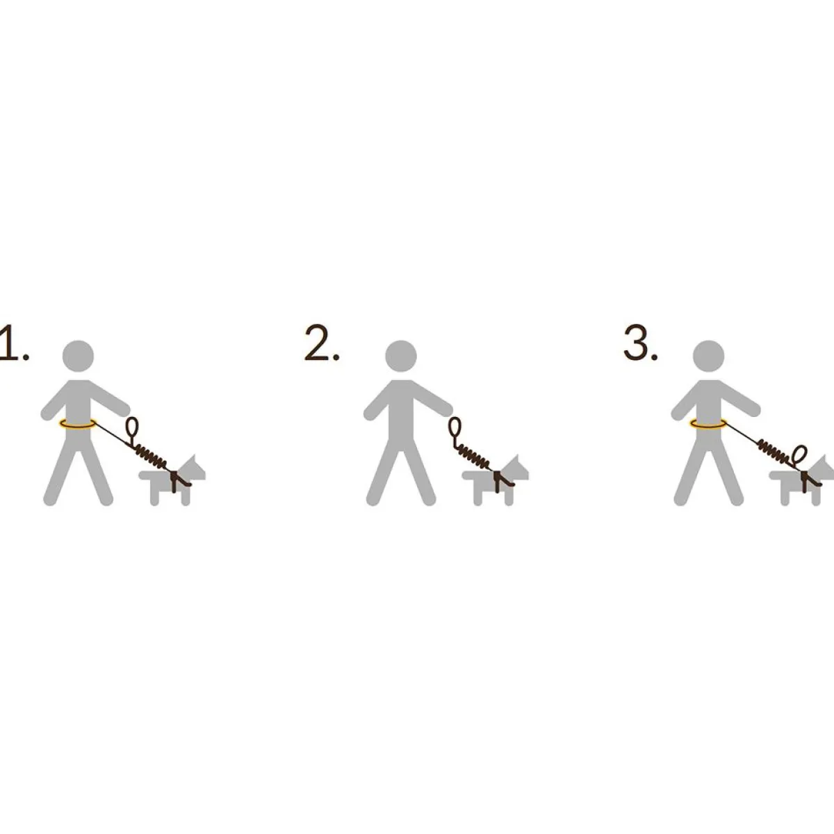 Pro Dog Koiran Hihnat Ja Flexit|Retkeily Koiran Kanssa*Handsfree setti