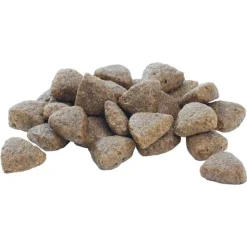 Purina Pro Plan Penturuoka|Koiran Kuivaruoka*Pro Plan Large Puppy Athletic