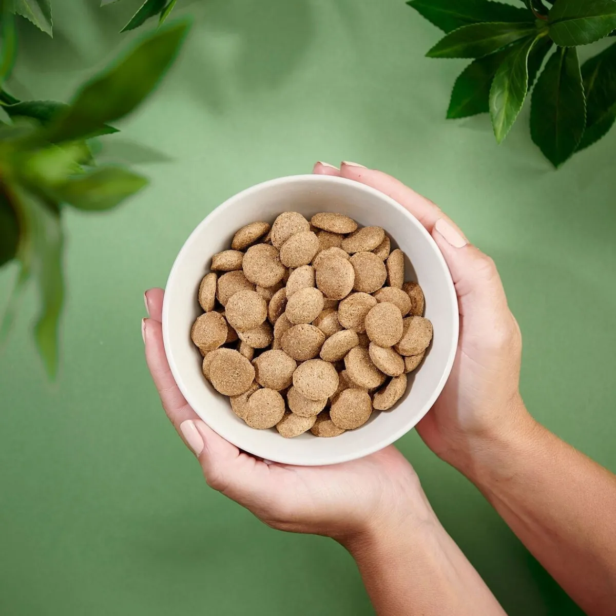 Purenatural Koiran Kuivaruoka|Kotimainen Koiranruoka*Adult Large 12kg