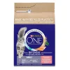Purina ONE Kissan Kuivaruoka*Cat Adult lohi