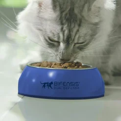 Purina ONE Kissan Kuivaruoka*Cat Adult lohi