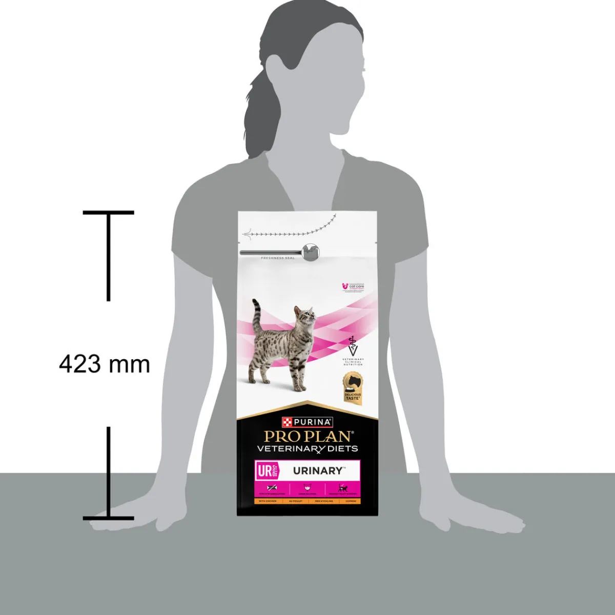 Purina Veterinary Diets Kissan Virtsatievaivat|Kissan Erikoisruoka*Purina VD Cat UR Urinary Struvite/Oxalate