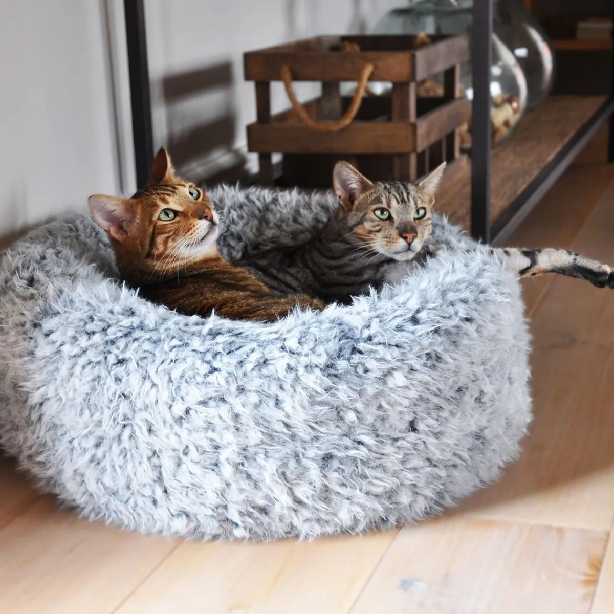 Rosewood Koiran Pedit Ja Alustat|Koiran Pedit*Pyöreä peti Silwer fluff