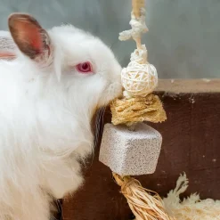 Quapas! Pieneläinten Lelut|Kanin Lelut*Rodent Natural 1, pieneläimen puuhalelu
