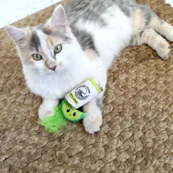 Quirky Kitty Kissanminttulelut*Hard Seltzpurr