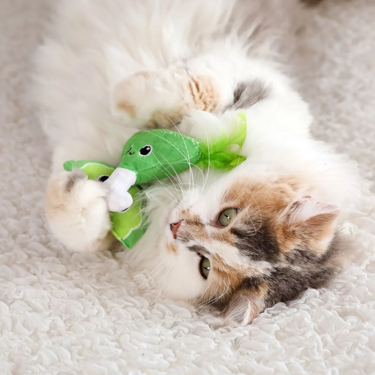 Quirky Kitty Kissanminttulelut*Meowgarita kissanminttulelu