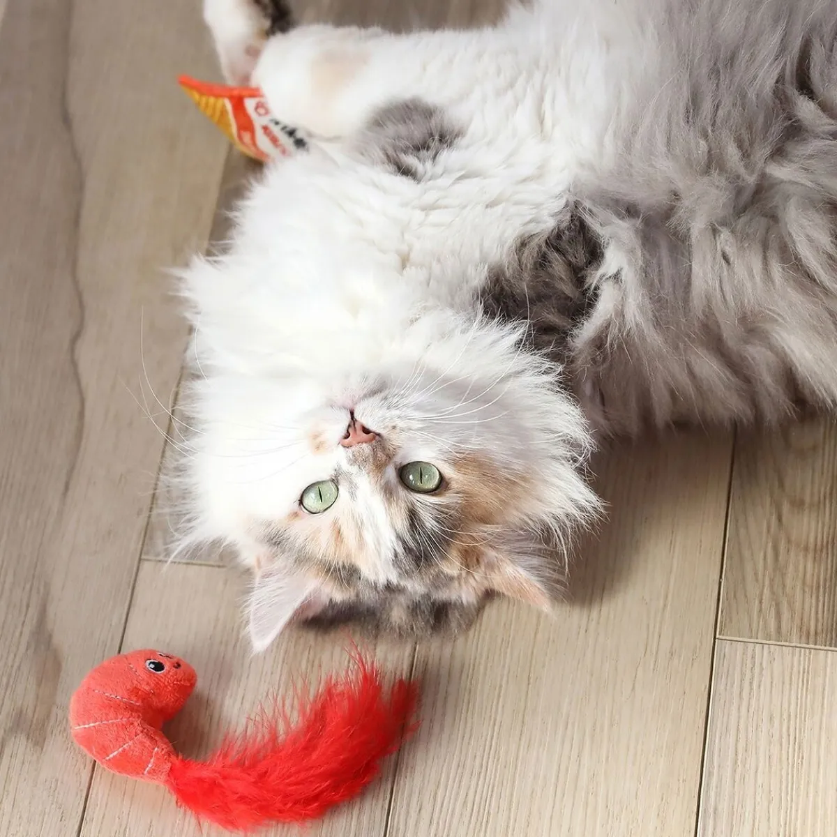 Quirky Kitty Kissanminttulelut*Ramen & Katkarapu 2 kpl