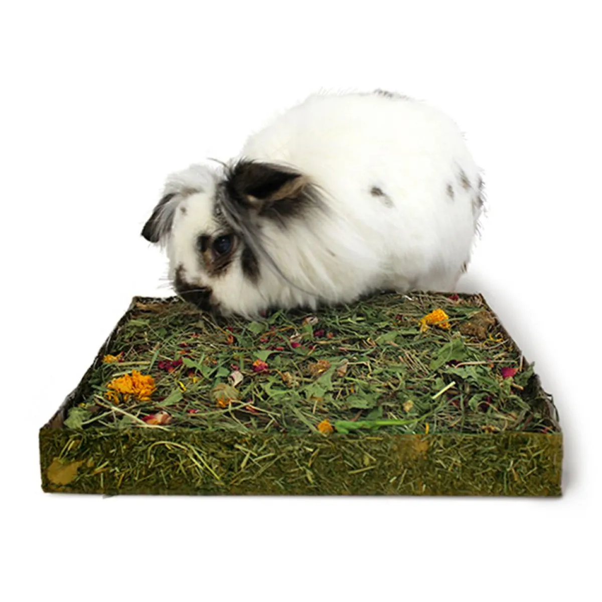Rosewood Marsun Lelut|Chinchillan Lelut*Nibble n Dig Herkkuniitty