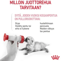 Royal Canin Kissan Märkäruoka|Kissanpennun Ruoka*Babycat Milk, 300 g