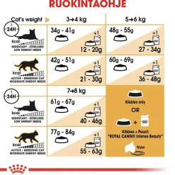 Royal Canin Tarjoukset Kissoille|Kissan Kuivaruoka*Bengal