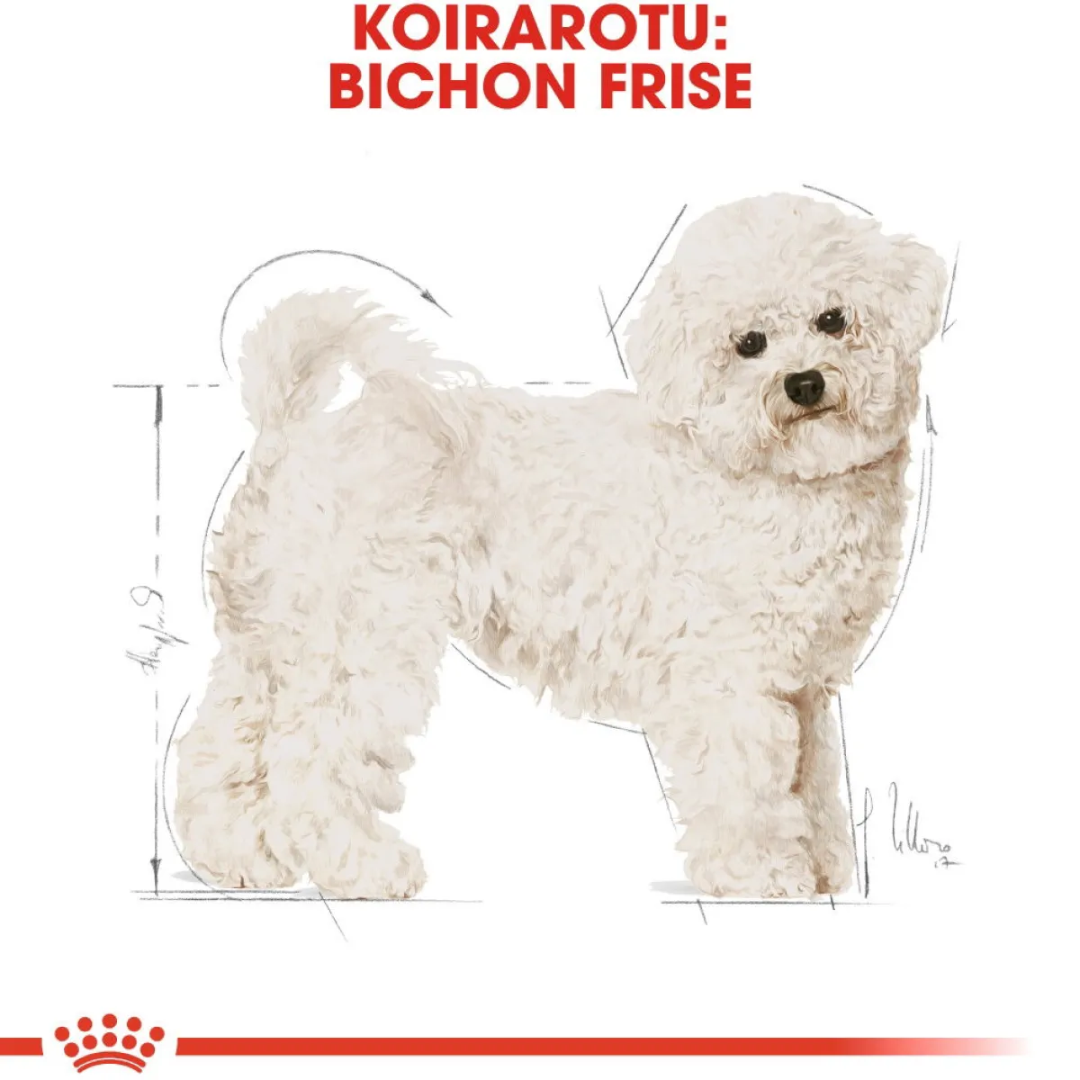 Royal Canin Koiran Kuivaruoka|Tarjoukset Koirille*Bichon Frise Adult 1,5 kg