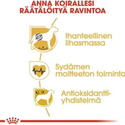 Royal Canin Koiran Kuivaruoka|Tarjoukset Koirille*Boxer Adult 12 kg