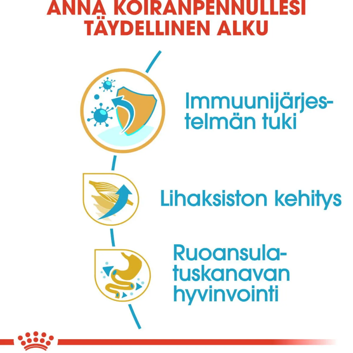 Royal Canin Penturuoka|Koiran Kuivaruoka*Boxer Puppy 12 kg