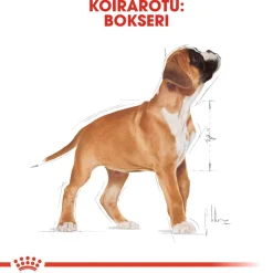 Royal Canin Penturuoka|Koiran Kuivaruoka*Boxer Puppy 12 kg
