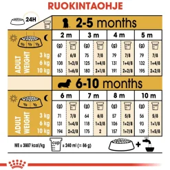Royal Canin Penturuoka|Koiran Kuivaruoka*Breed Dachshund Puppy 1,5 kg
