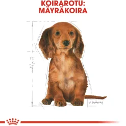 Royal Canin Penturuoka|Koiran Kuivaruoka*Breed Dachshund Puppy 1,5 kg