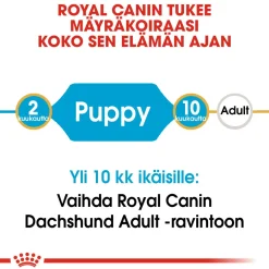 Royal Canin Penturuoka|Koiran Kuivaruoka*Breed Dachshund Puppy 1,5 kg