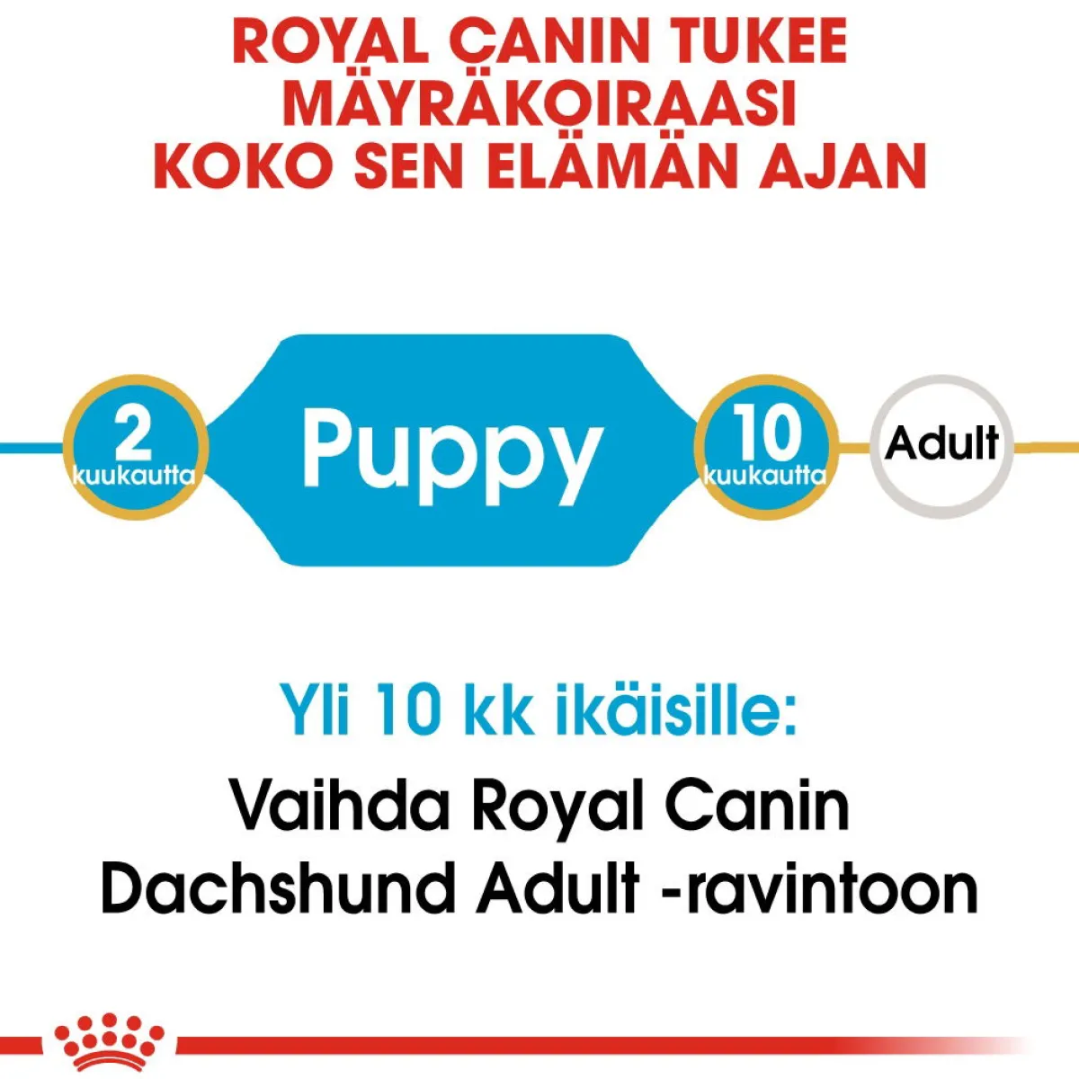Royal Canin Penturuoka|Koiran Kuivaruoka*Breed Dachshund Puppy 1,5 kg