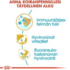 Royal Canin Penturuoka|Koiran Kuivaruoka*Breed Dalmatian Puppy