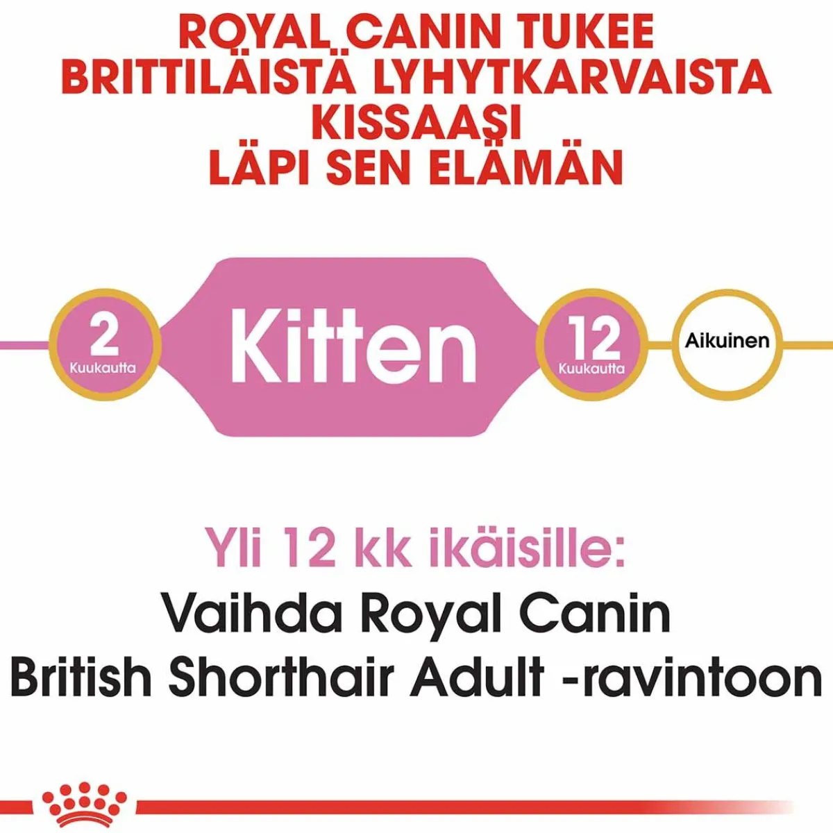 Royal Canin Kissanpennun Ruoka|Tarjoukset Kissoille*British Shorthair Kitten, 2 kg