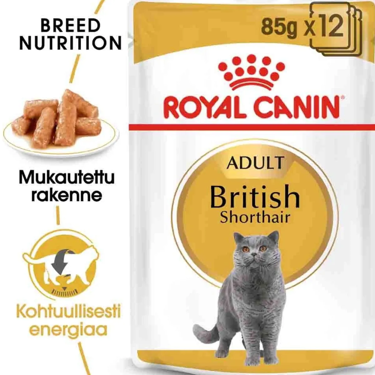 Royal Canin Kissan Märkäruoka|Tarjoukset Kissoille*British Shorthair Wet 12 x 85g