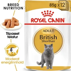 Royal Canin Kissan Märkäruoka*British Shorthair 85g, 48-pack