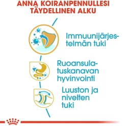 Royal Canin Penturuoka|Koiran Kuivaruoka*Bulldog Puppy 12 kg