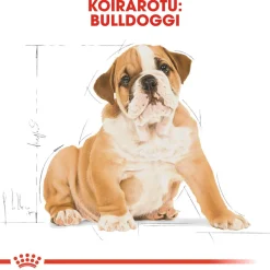 Royal Canin Penturuoka|Koiran Kuivaruoka*Bulldog Puppy 12 kg