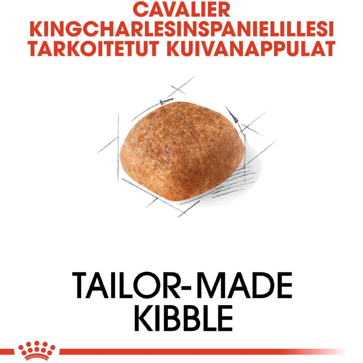Royal Canin Koiran Kuivaruoka|Tarjoukset Koirille*Cavalier Adult