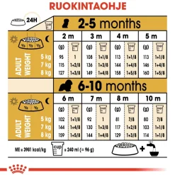 Royal Canin Penturuoka|Koiran Kuivaruoka*Cavalier Puppy 1,5 kg