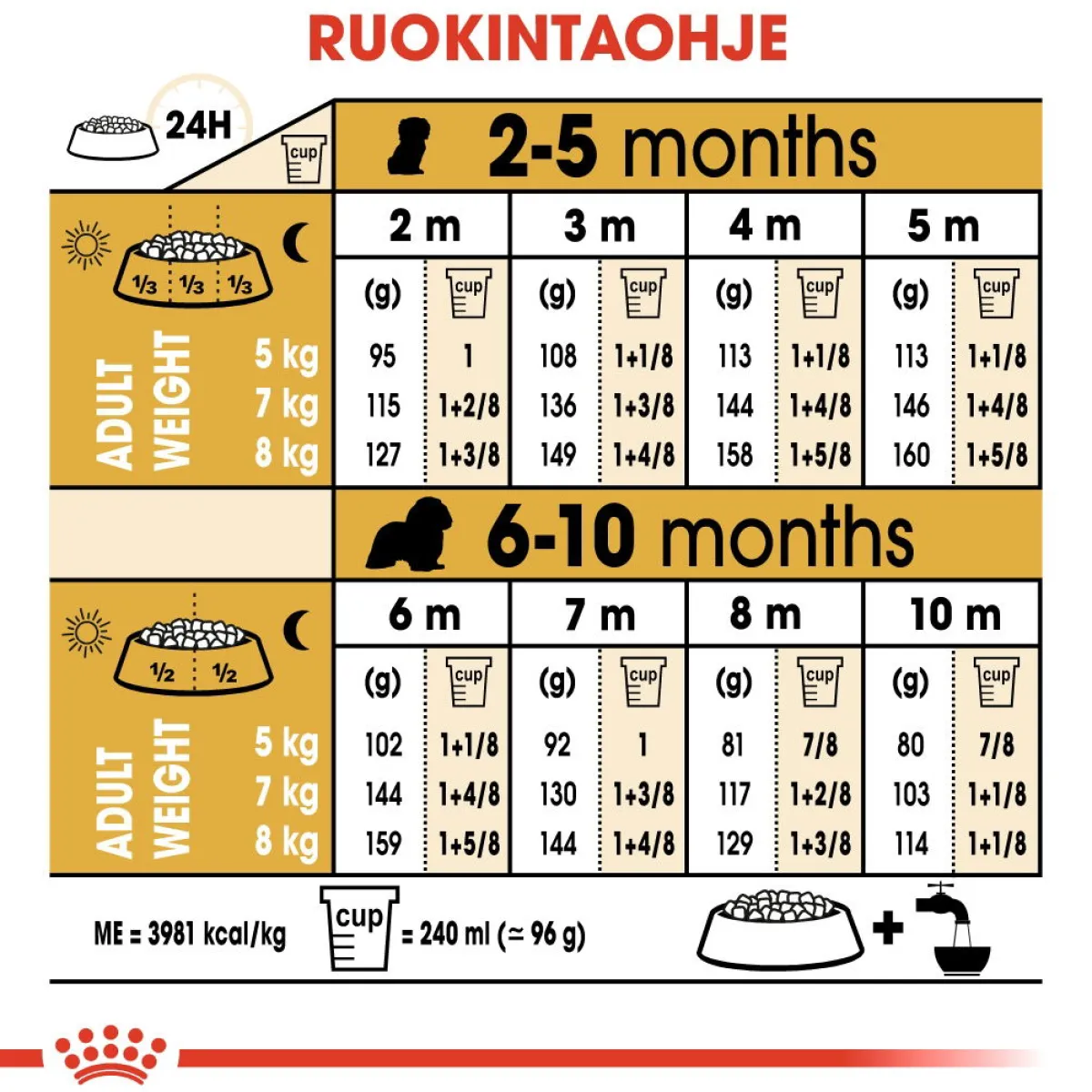 Royal Canin Penturuoka|Koiran Kuivaruoka*Cavalier Puppy 1,5 kg