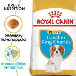 Royal Canin Penturuoka|Koiran Kuivaruoka*Cavalier Puppy 1,5 kg