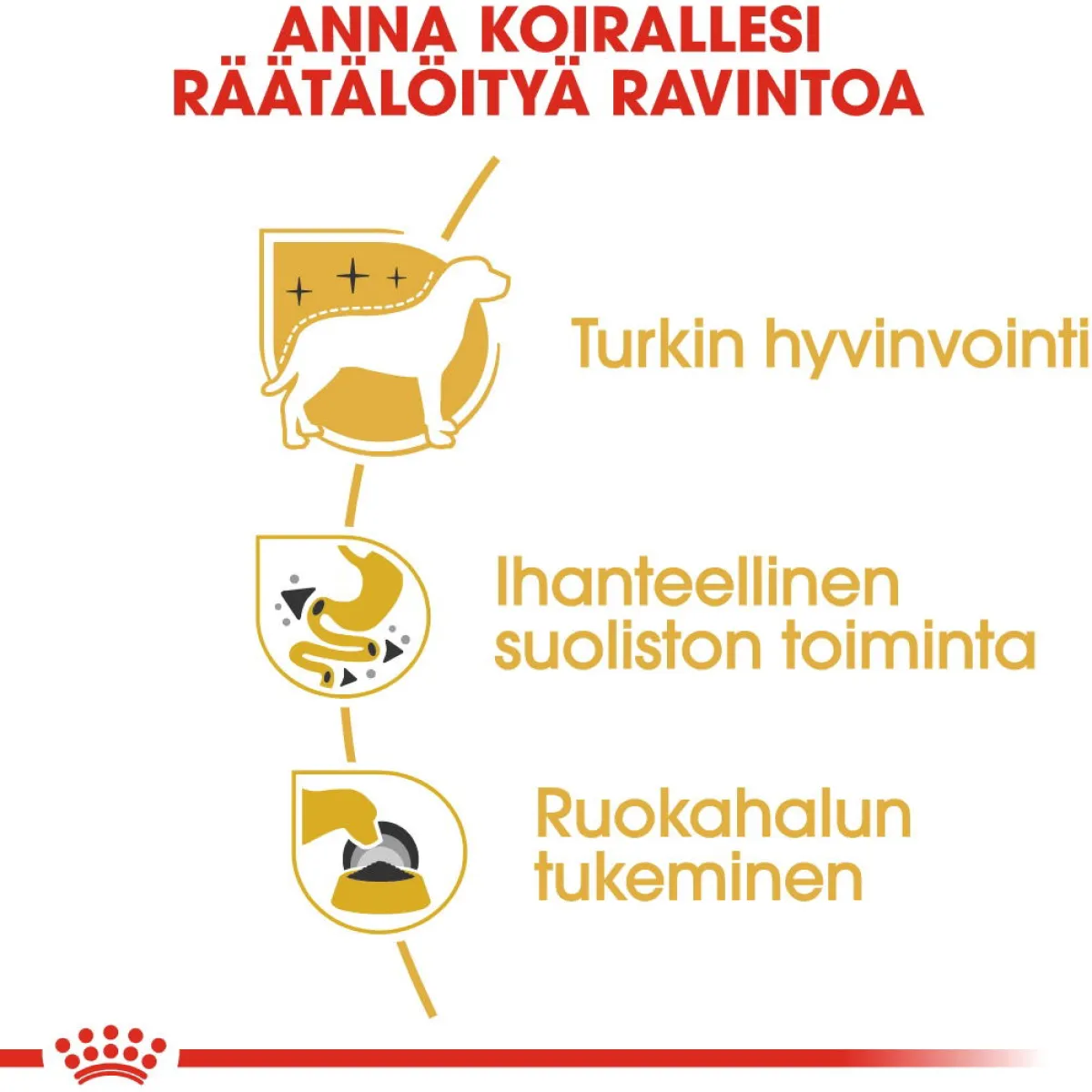 Royal Canin Tarjoukset Koirille|Koiran Märkäruoka Ja Makkarat*Chihuahua Wet 12x85g