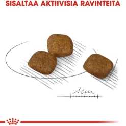Royal Canin Koiranruoat Erityistapeisiin|Koiran Kuivaruoka*Coat Care Mini