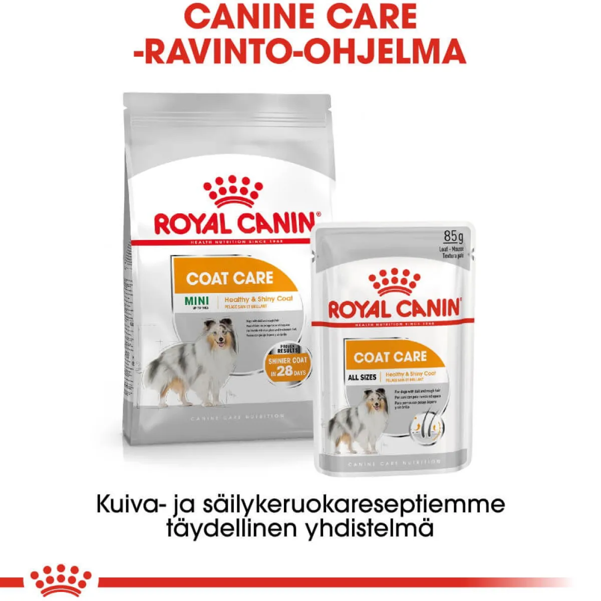 Royal Canin Koiranruoat Erityistapeisiin|Koiran Kuivaruoka*Coat Care Mini