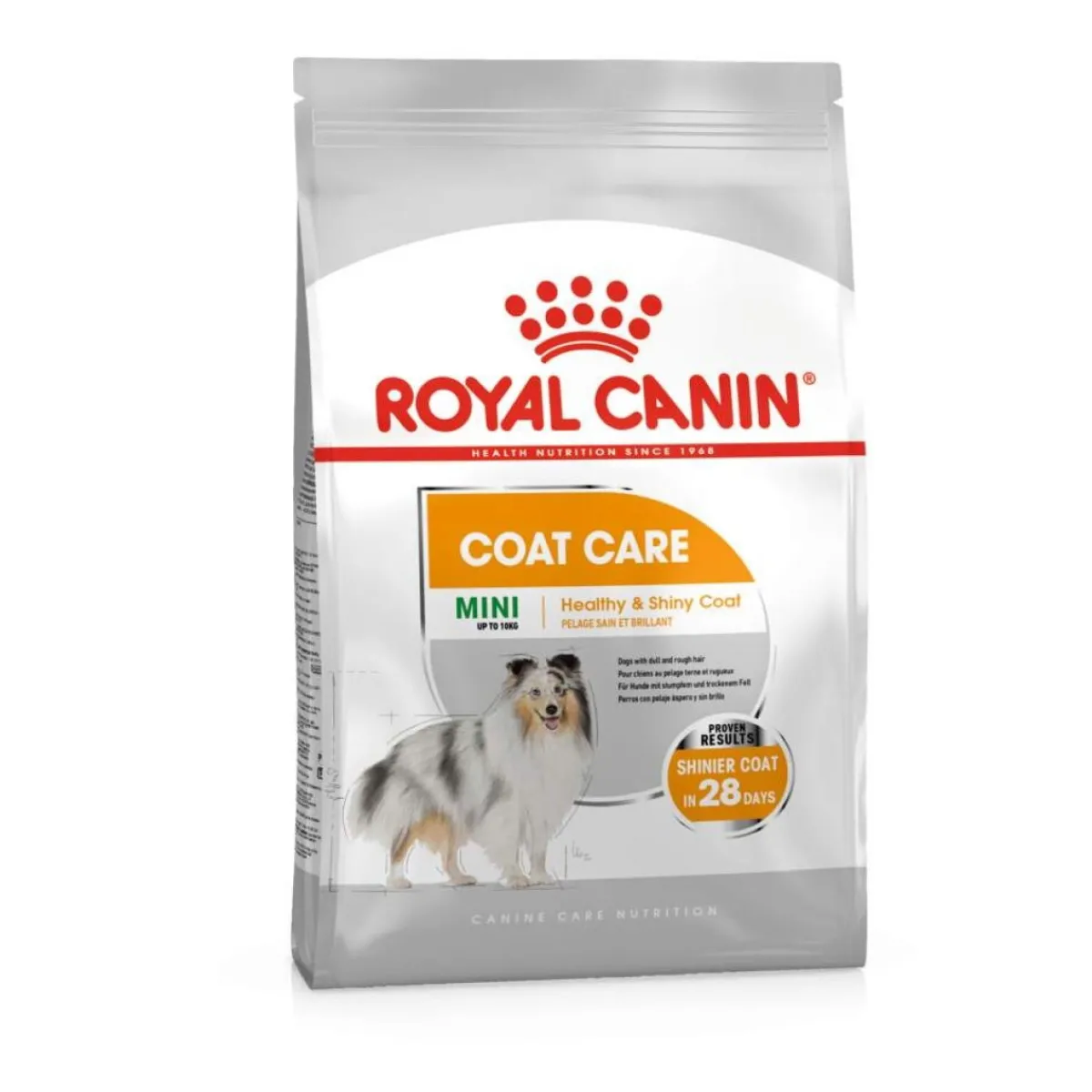 Royal Canin Koiranruoat Erityistapeisiin|Koiran Kuivaruoka*Coat Care Mini