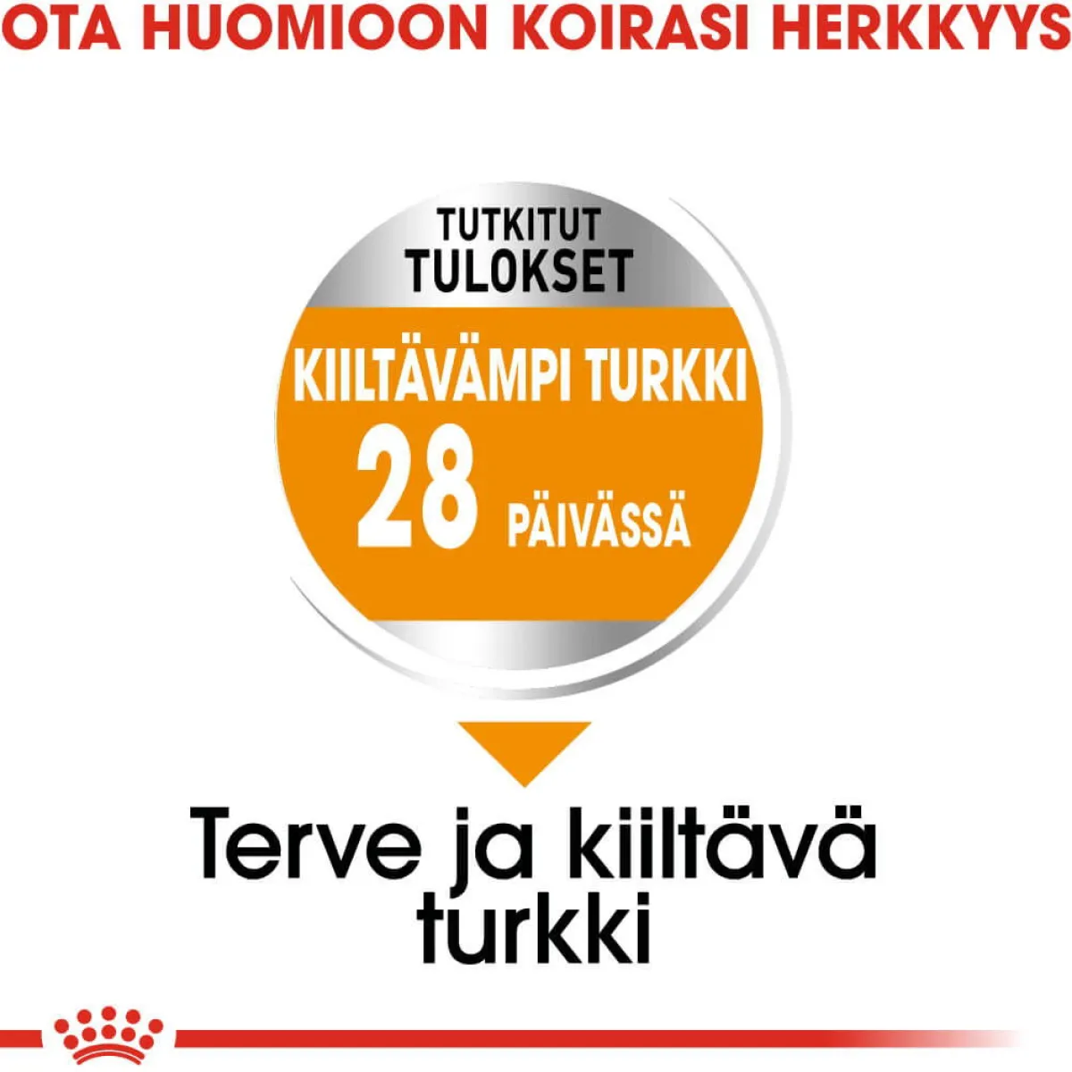 Royal Canin Koiranruoat Erityistapeisiin|Koiran Kuivaruoka*Coat Care Mini