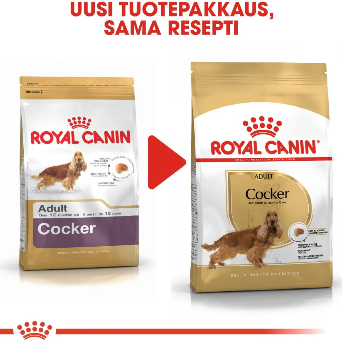 Royal Canin Koiran Kuivaruoka|Tarjoukset Koirille*Cocker Adult