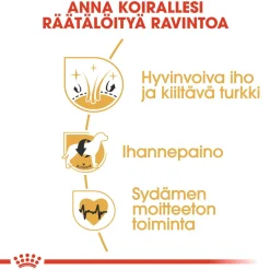 Royal Canin Koiran Kuivaruoka|Tarjoukset Koirille*Cocker Adult