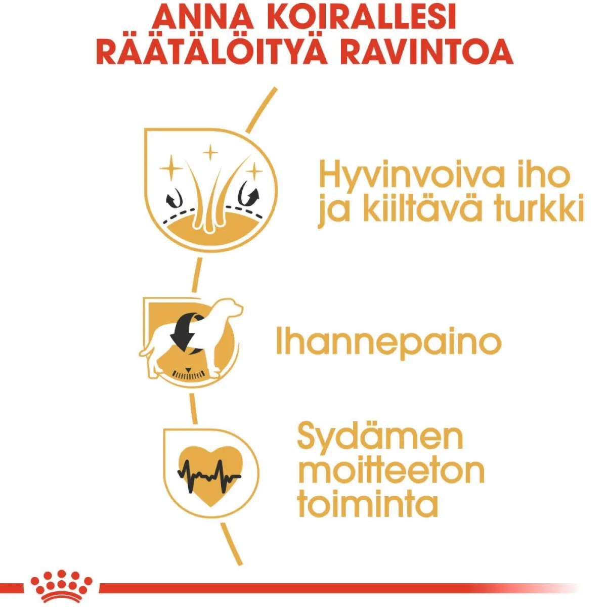 Royal Canin Koiran Kuivaruoka|Tarjoukset Koirille*Cocker Adult