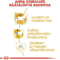Royal Canin Koiran Kuivaruoka|Tarjoukset Koirille*Dachshund Adult