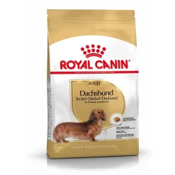 Royal Canin Koiran Kuivaruoka|Tarjoukset Koirille*Dachshund Adult