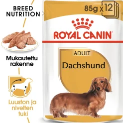 Royal Canin Tarjoukset Koirille|Koiran Märkäruoka Ja Makkarat*Dachshund Wet 12 x 85 g