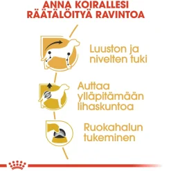 Royal Canin Tarjoukset Koirille|Koiran Märkäruoka Ja Makkarat*Dachshund Wet 12 x 85 g