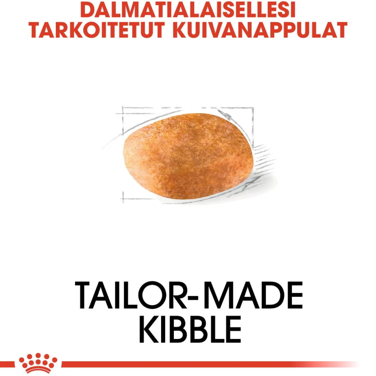 Royal Canin Koiran Kuivaruoka|Tarjoukset Koirille*Dalmatian Adult 12 kg