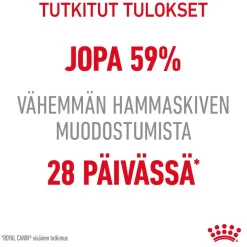 Royal Canin Kissan Kuivaruoka|Kissan Erikoisruoat*Dental Care