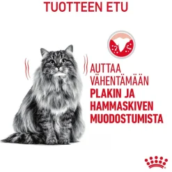 Royal Canin Kissan Kuivaruoka|Kissan Erikoisruoat*Dental Care